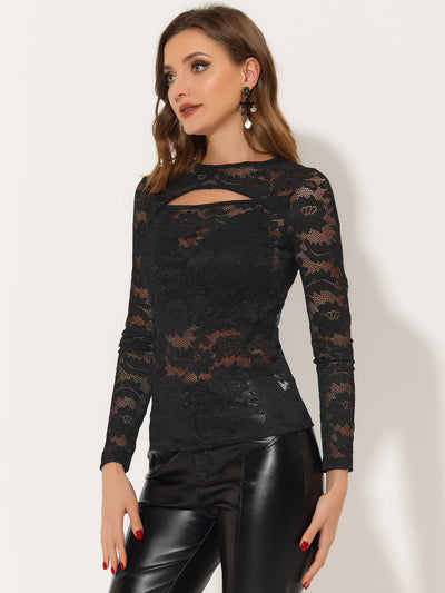 See Through Cut Out Long Sleeve Semi Sheer Fitted Lace Top