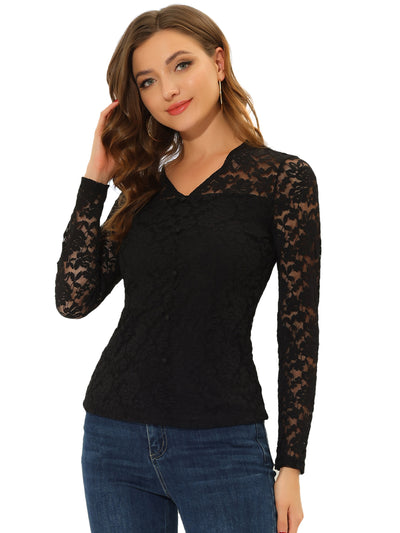 Lace Top V Neck Floral Embroidery Long Sleeve Sheer Blouse