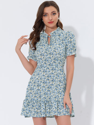 Summer Chiffon Tie Neck Puff Short Sleeve Floral Ruffle Smock Dress