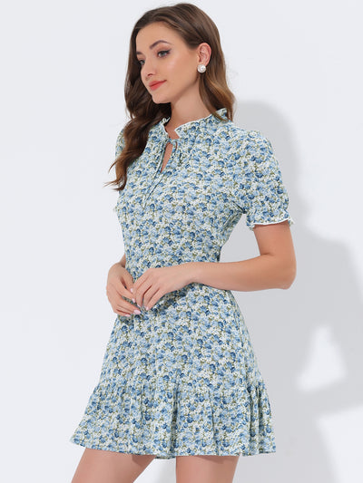 Summer Chiffon Tie Neck Puff Short Sleeve Floral Ruffle Smock Dress