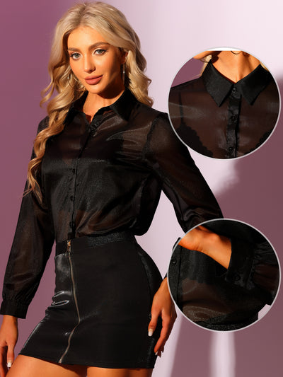 Sheer Button Up See Through Mesh Long Sleeve Blouse Shirt