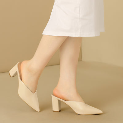 Pointed Toe Chunky Heel Slides Mules