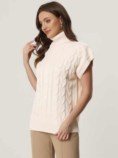 Turtleneck Twist Sleeveless Solid Color Knit Pullover Sweater Vest