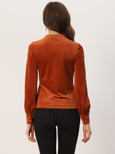 Elegant Velvet Crew Neck Puff Long Sleeve Rib Velour Blouse