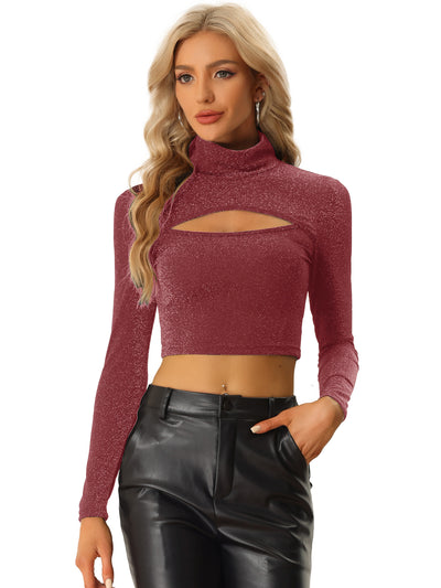 Party Tee Long Sleeve Slim Fit Mock Neck Cutout Crop Tops