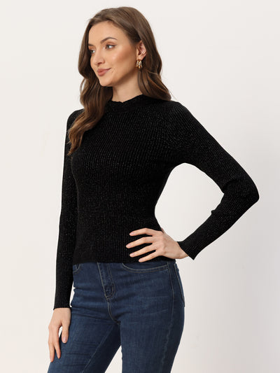 Shiny Turtleneck Long Sleeve Ribbed Knit Pullover Sweater