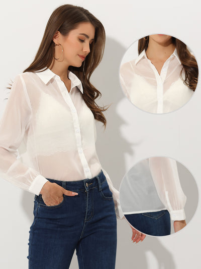 Sheer Button Up See Through Mesh Long Sleeve Blouse Shirt