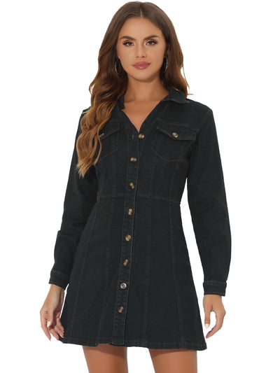 Button Down Collar V Neck Long Sleeve A-line Jean Denim Dress