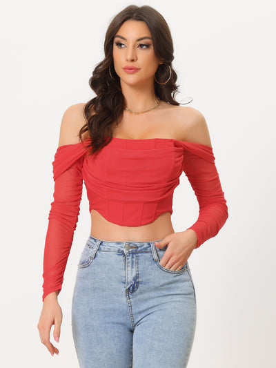 Mesh Sheer Long Sleeve Off Shoulder Party Bustier Crop Top