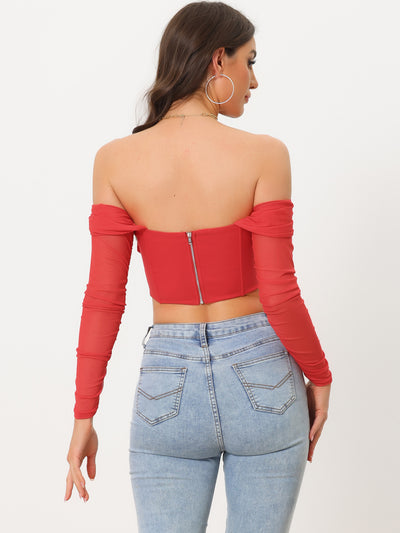 Mesh Sheer Long Sleeve Off Shoulder Party Bustier Crop Top