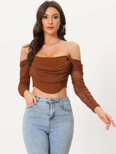 Mesh Sheer Long Sleeve Off Shoulder Party Bustier Crop Top