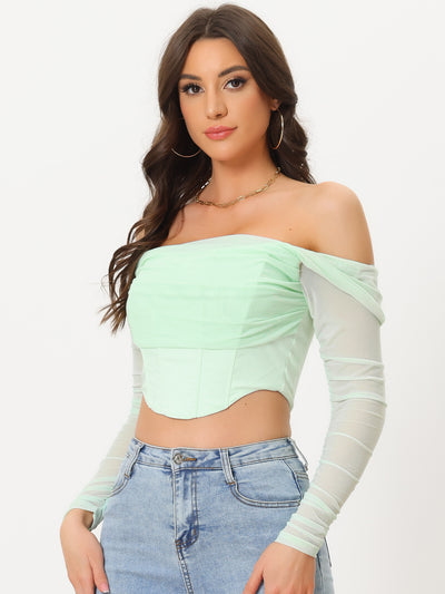 Mesh Sheer Long Sleeve Off Shoulder Party Bustier Crop Top