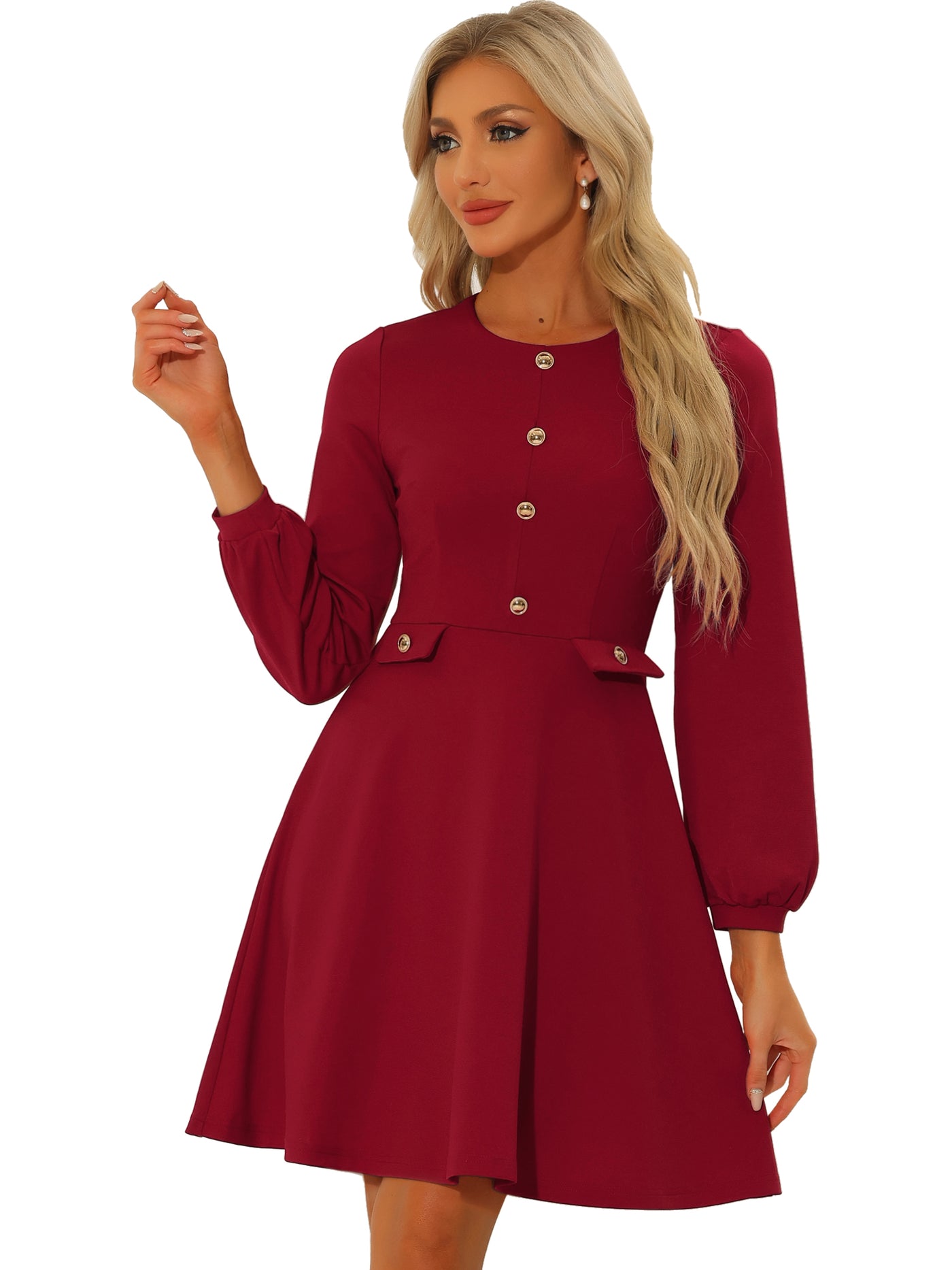 Allegra K Crew Neck Office Contrast Button Decor Long Sleeve Dress