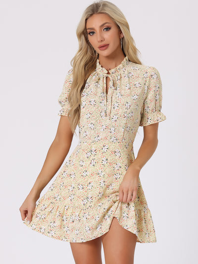 Summer Chiffon Tie Neck Puff Short Sleeve Floral Ruffle Smock Dress