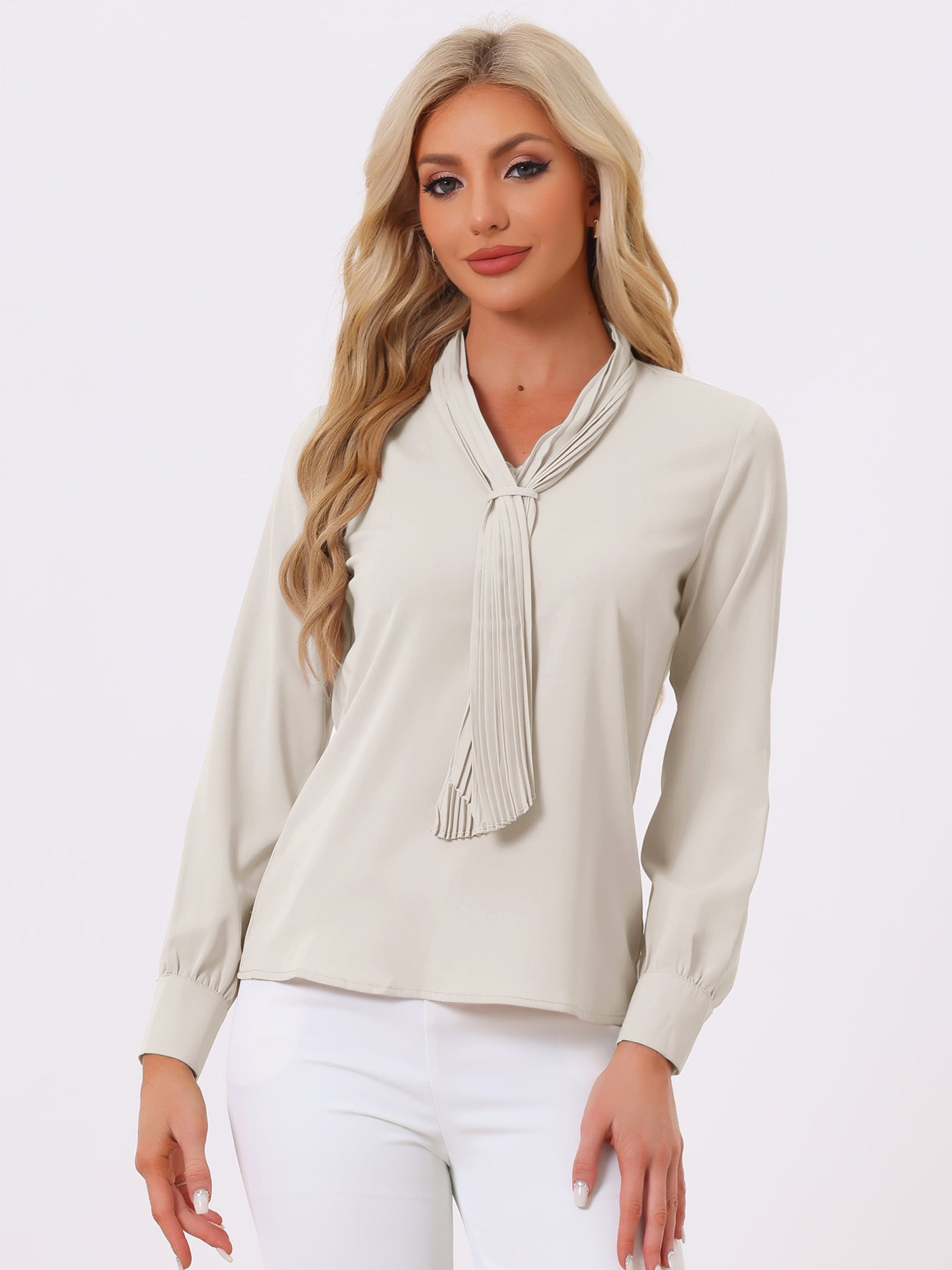 Allegra K Long Sleeve Pleated Tie Neck Office Chiffon Blouse