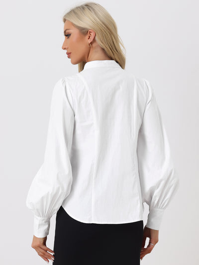 Stand Neck Pleated Lantern Long Sleeves Button Down Shirt