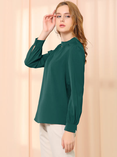 Keyhole Elegant Stand Collar Long Sleeve Chiffon Office Blouse