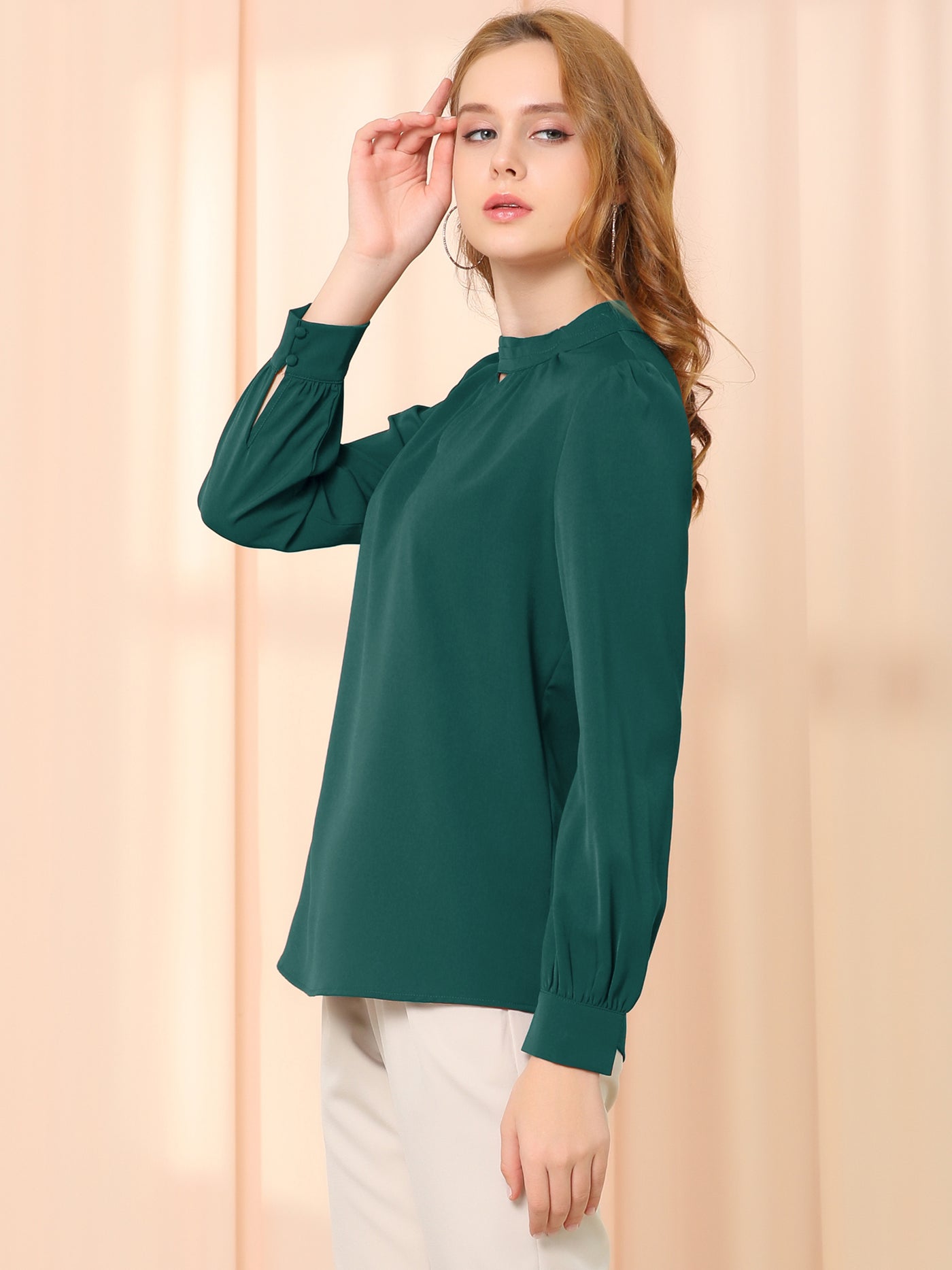 Allegra K Keyhole Elegant Stand Collar Long Sleeve Chiffon Office Blouse