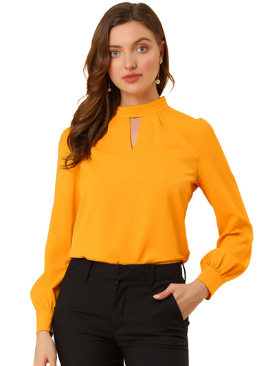 Keyhole Elegant Stand Collar Long Sleeve Chiffon Office Blouse