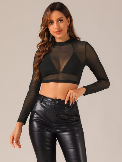 Semi-Sheer Sexy Heart Mesh Crop Top Long Sleeve Blouse