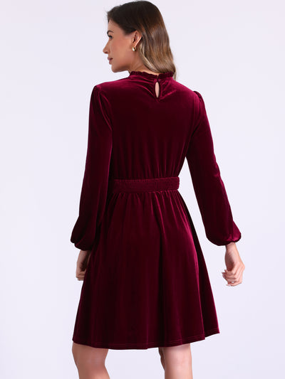 Velvet Smocked Waistline Long Sleeve Midi Dress