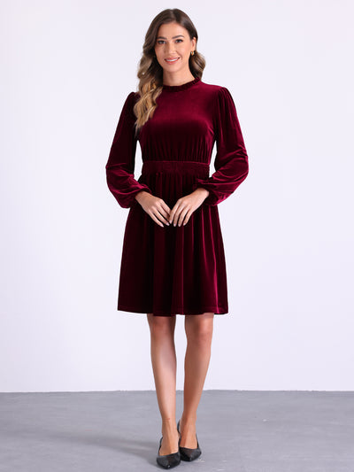 Velvet Smocked Waistline Long Sleeve Midi Dress