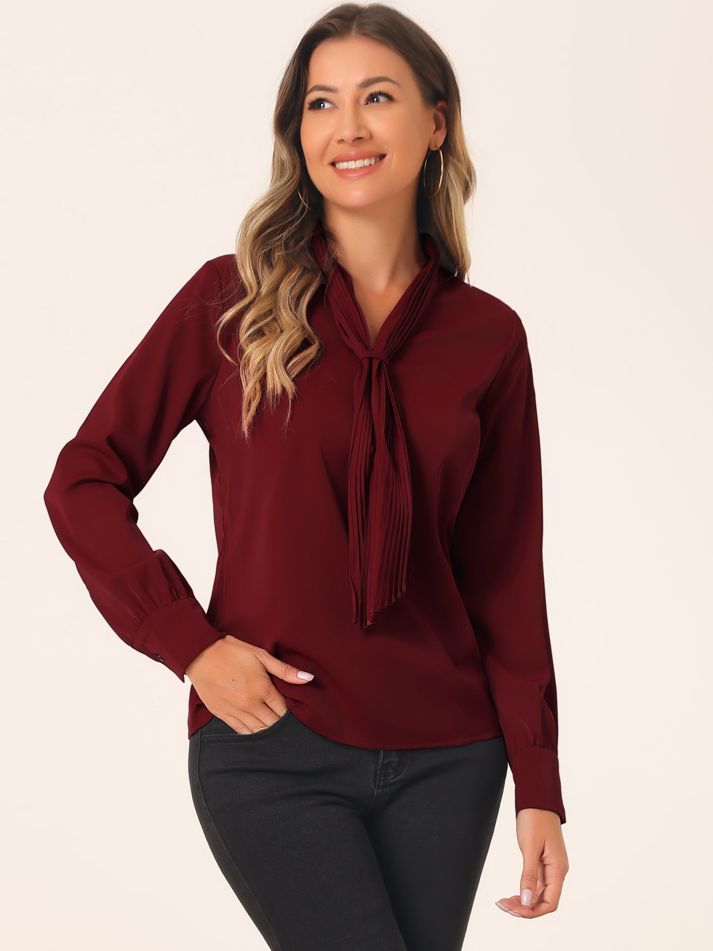 Allegra K Long Sleeve Blouse Chiffon Pleated Tie Neck Office Top Shirt