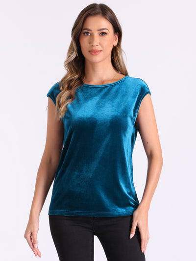 Velvet Cap Sleeve Casual Basic Round Neck Blouse