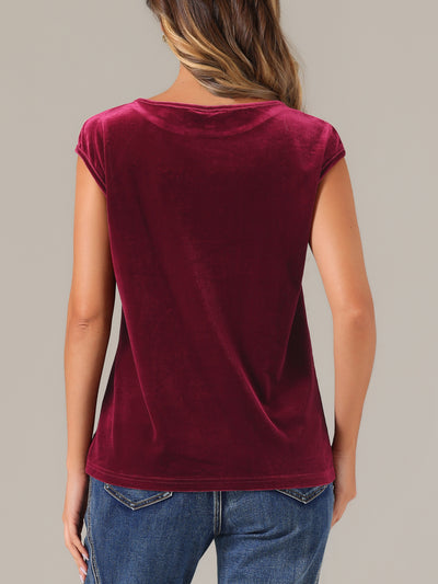 Velvet Cap Sleeve Casual Basic Round Neck Blouse