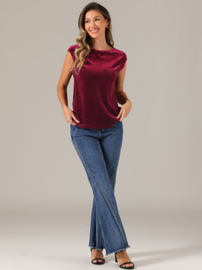 Velvet Cap Sleeve Casual Basic Round Neck Blouse