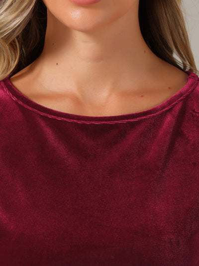 Velvet Cap Sleeve Casual Basic Round Neck Blouse