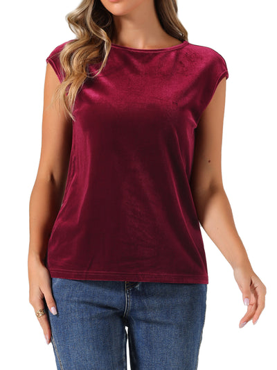 Velvet Cap Sleeve Casual Basic Round Neck Blouse