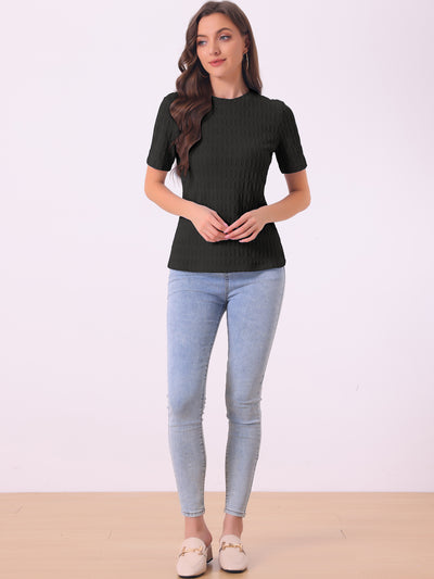 Casual Short Sleeves Round Neck Basic Textured Blouse