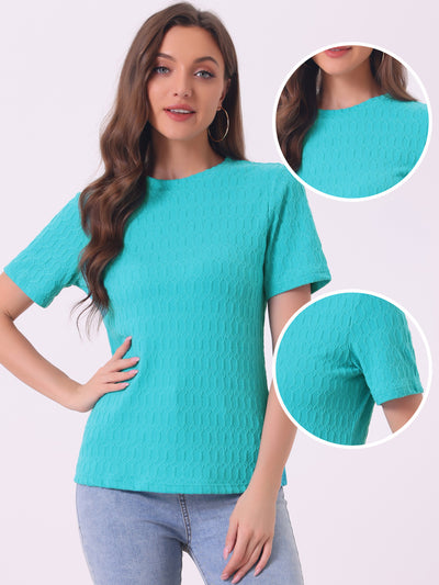 Casual Short Sleeves Round Neck Basic Textured Blouse