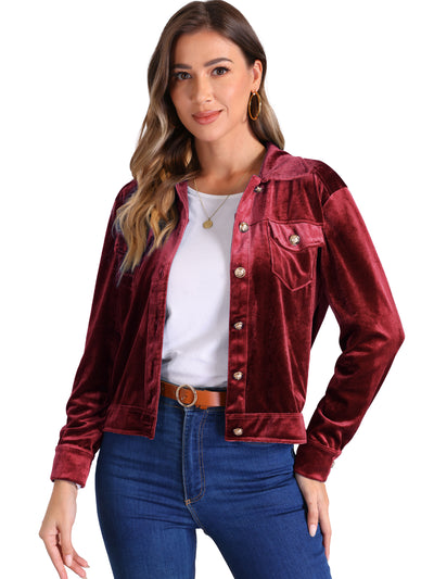 Velvet Button Up Long Sleeve Cropped Jacket