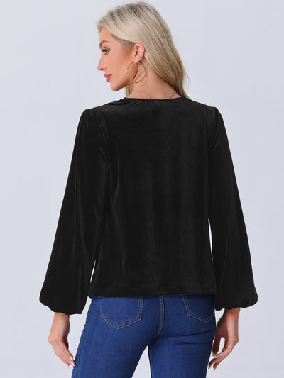 Velvet Cowl Neck Lantern Sleeve Solid Color Blouse