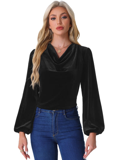 Velvet Cowl Neck Lantern Sleeve Solid Color Blouse