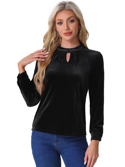 Velvet Long Sleeve Keyhole Elegant Casual Blouse