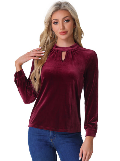 Velvet Long Sleeve Keyhole Elegant Casual Blouse