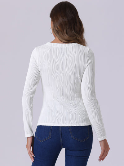 Long Sleeve Round Neck Textured Casual Blouse