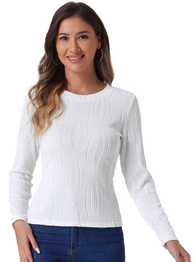 Long Sleeve Round Neck Textured Casual Blouse