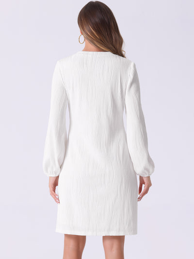 Long Lantern Sleeve Solid Color Textured Midi Dress