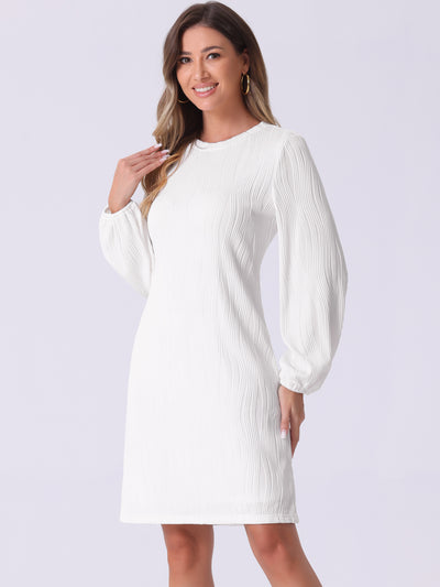 Long Lantern Sleeve Solid Color Textured Midi Dress