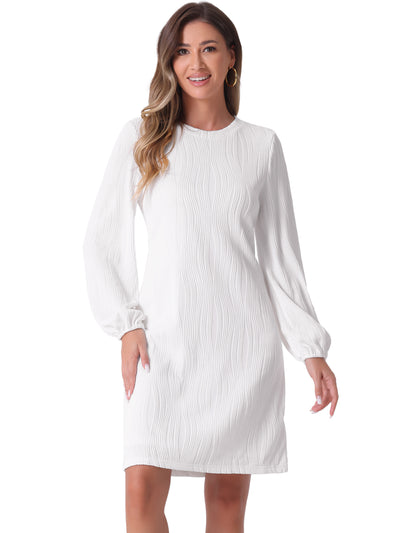 Long Lantern Sleeve Solid Color Textured Midi Dress