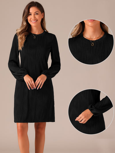 Long Lantern Sleeve Solid Color Textured Midi Dress