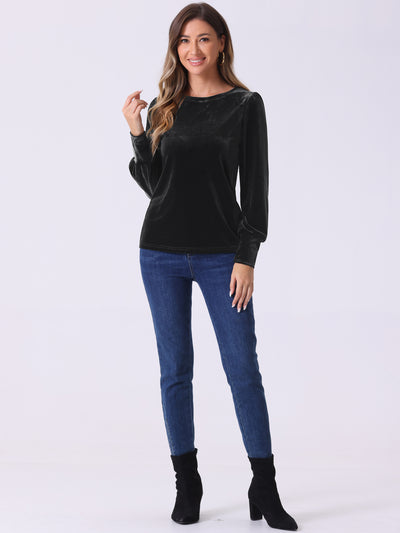 Velvet Round Neck Puff Long Sleeve Casual Pullover Blouse