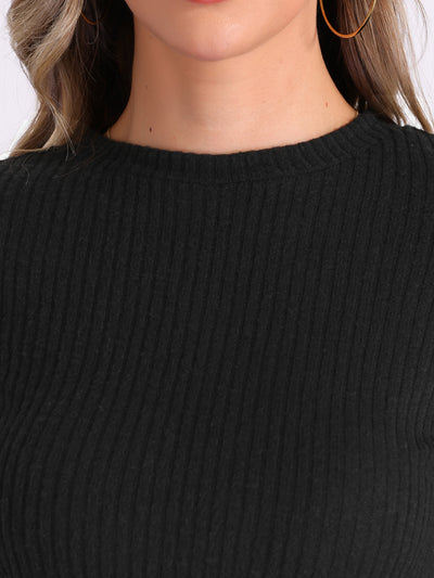 Stretch Long Sleeve Crew Neck Casual Basic Knit Sweater Tops