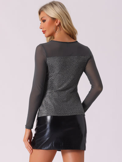 Shiny Mesh Glitter Round Neck Long Sleeve Sparky Blouse