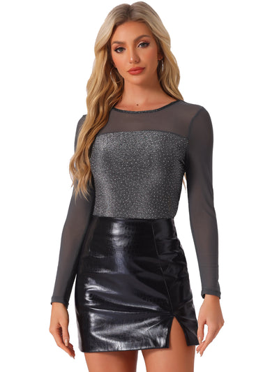 Shiny Mesh Glitter Round Neck Long Sleeve Sparky Blouse