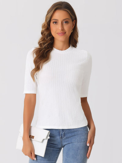 Crew Neck Short Sleeve Textured Basic Casual Blouse